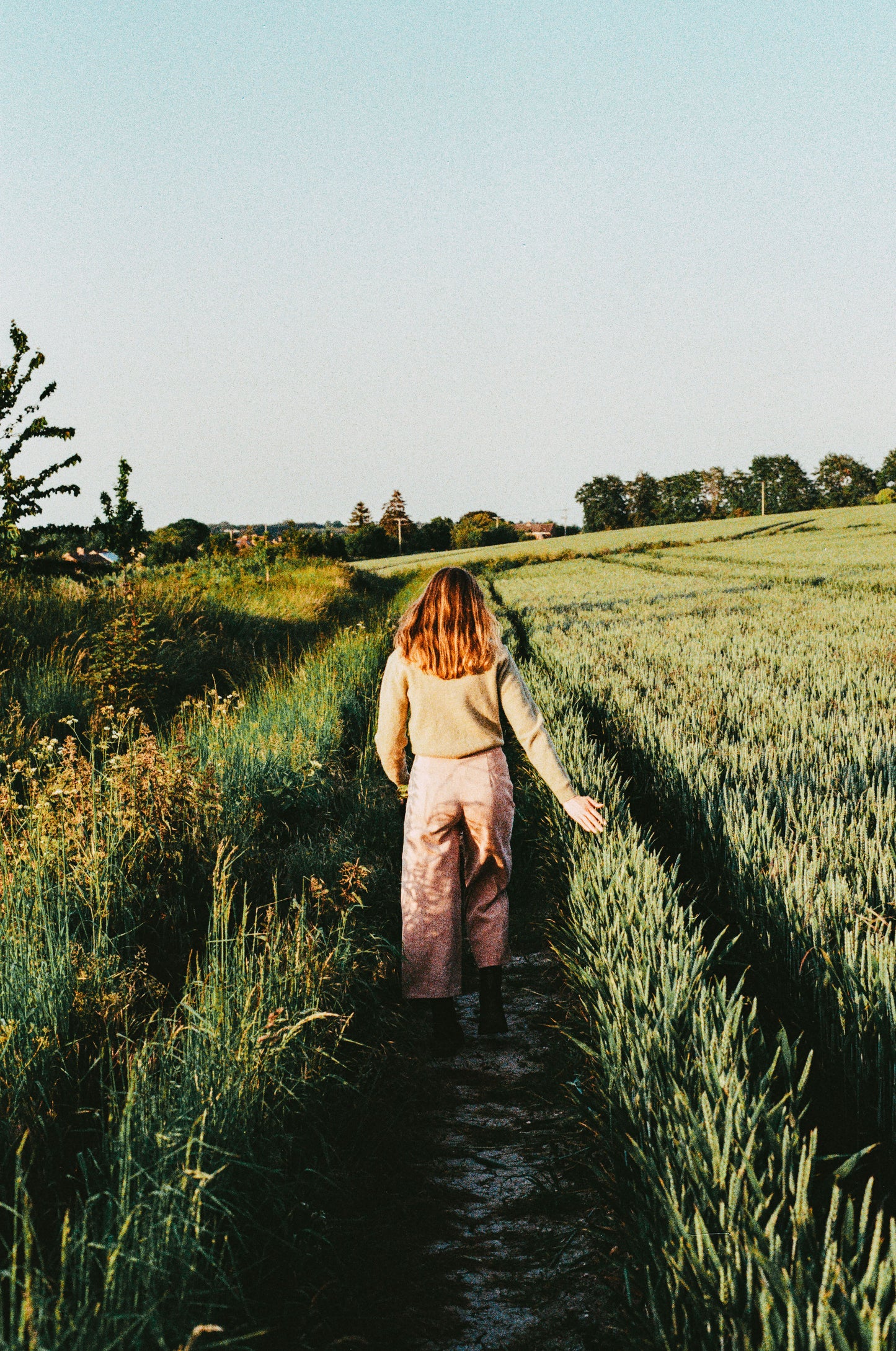 Film Scan Presets - Cool