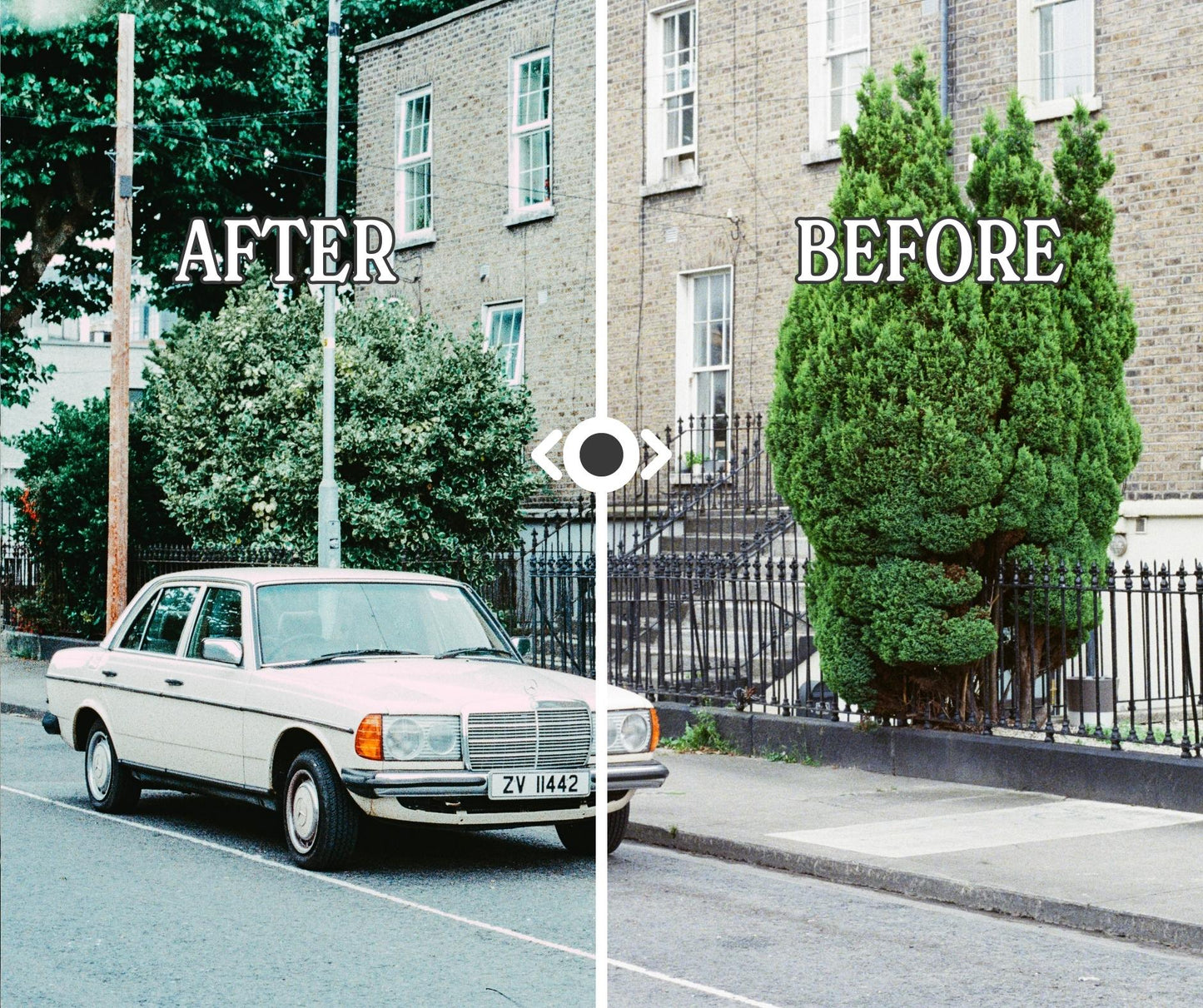 Film Scan Presets - Cool