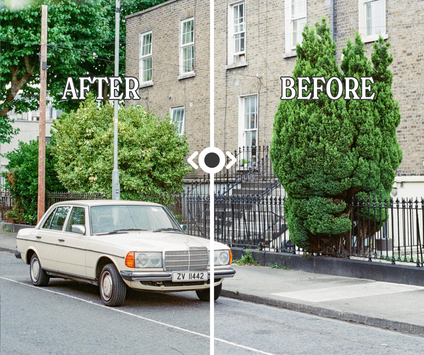 Film Scan Presets - Shadow Lift