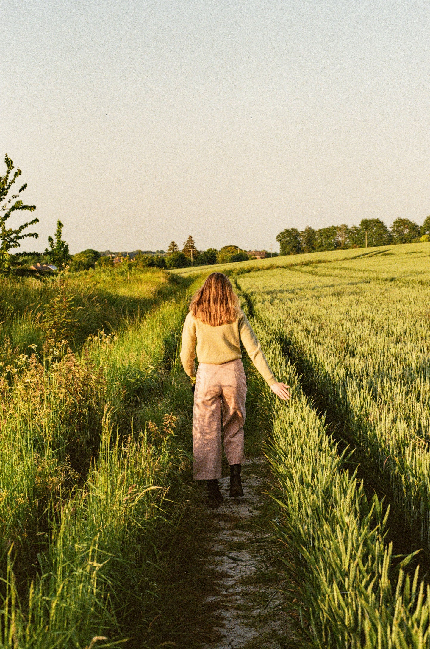Film Scan Presets - Warm