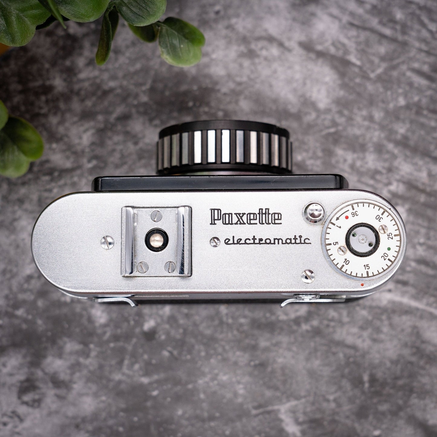 35mm Film Camera Kit | Braun Paxette Electromatic + Roll Of Expired Film - Expired Film Club