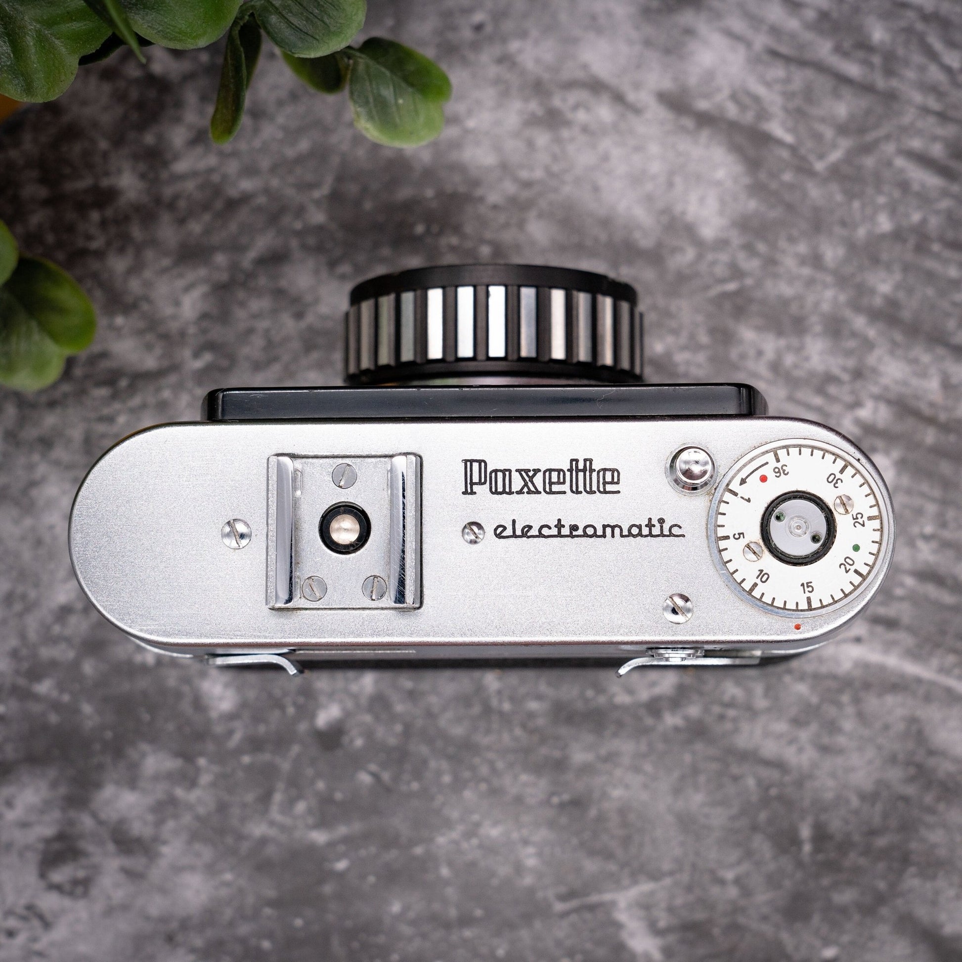 35mm Film Camera Kit | Braun Paxette Electromatic + Roll Of Expired Film - Expired Film Club