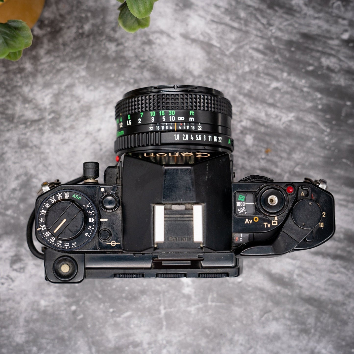35mm Film Camera Kit | Canon A-1 + 50mm f/1.8 Lens, Roll Of Expired Film, Data Back - Expired Film Club