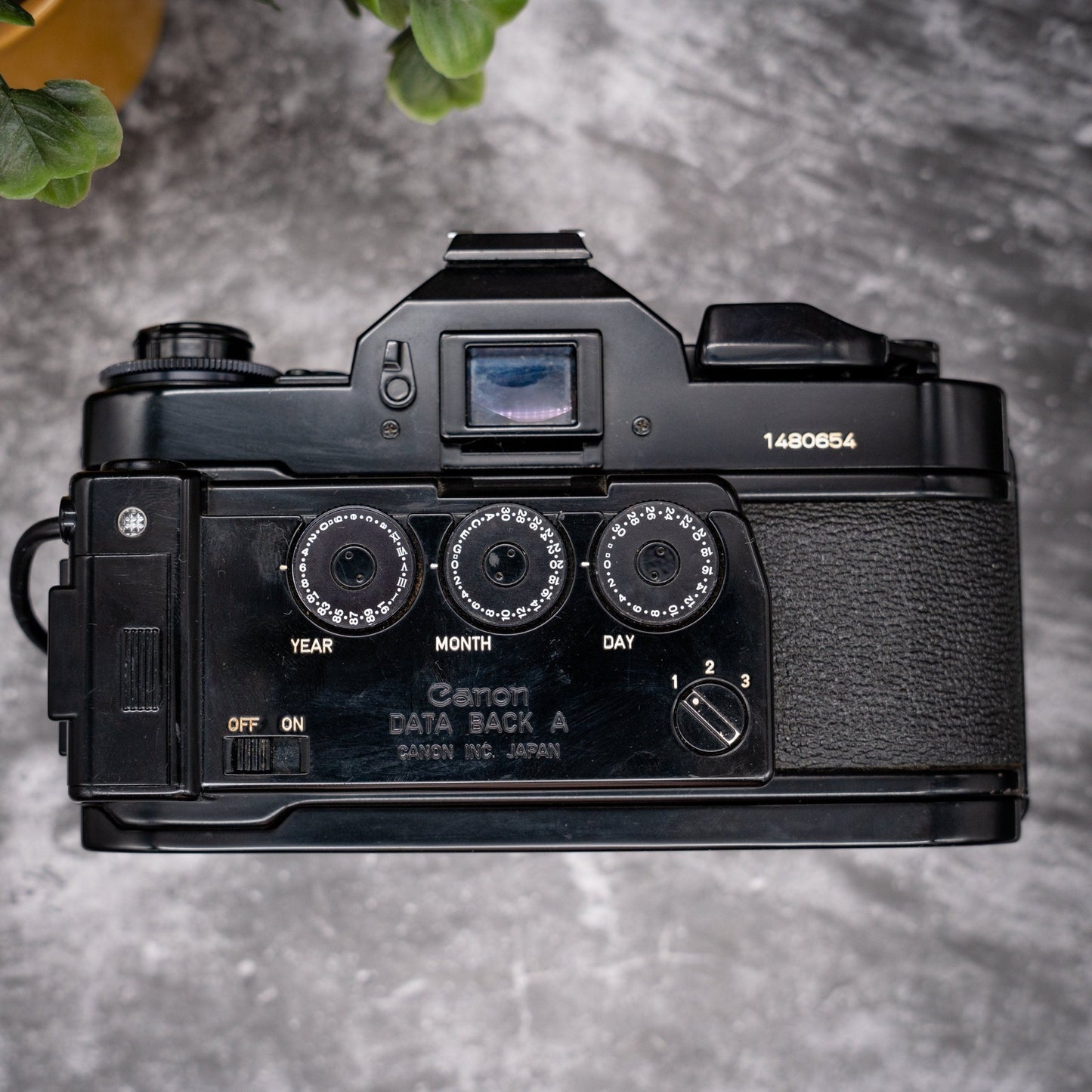 35mm Film Camera Kit | Canon A-1 + 50mm f/1.8 Lens, Roll Of Expired Film, Data Back - Expired Film Club