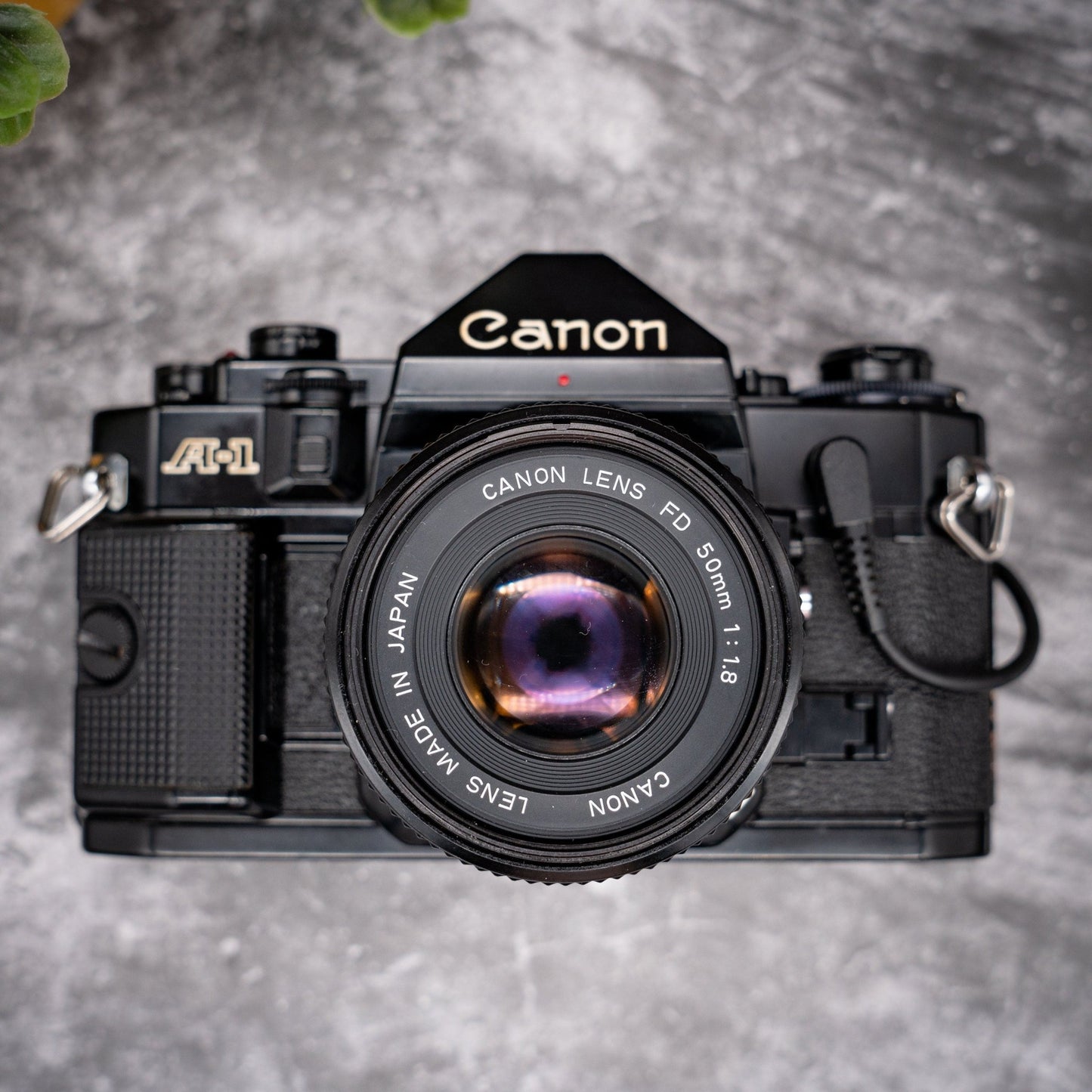 35mm Film Camera Kit | Canon A-1 + 50mm f/1.8 Lens, Roll Of Expired Film, Data Back - Expired Film Club