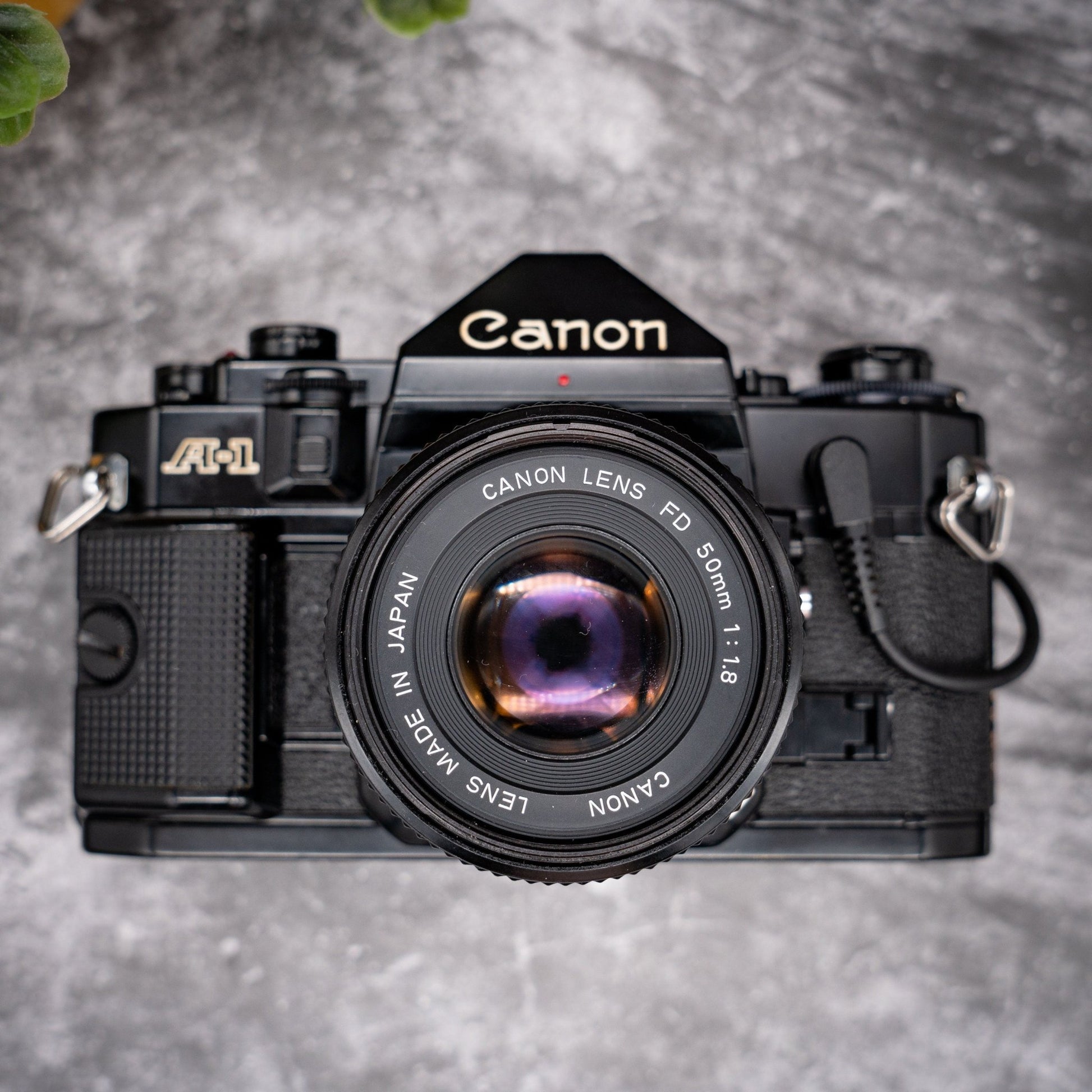 35mm Film Camera Kit | Canon A-1 + 50mm f/1.8 Lens, Roll Of Expired Film, Data Back - Expired Film Club