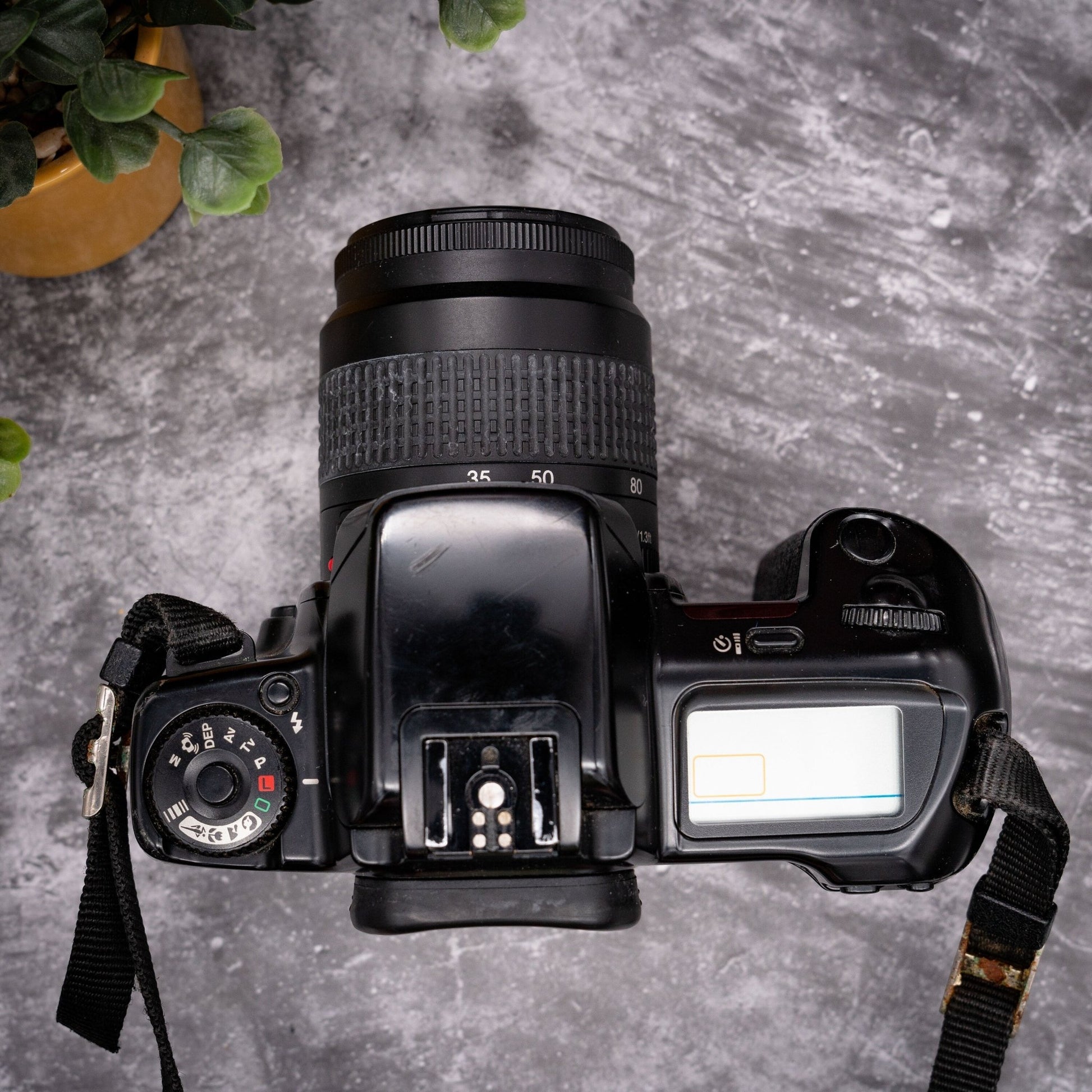 35mm Film Camera Kit | Canon EOS 10QD + 35-80mm Lens, Roll Of Expired Film, Strap - Expired Film Club
