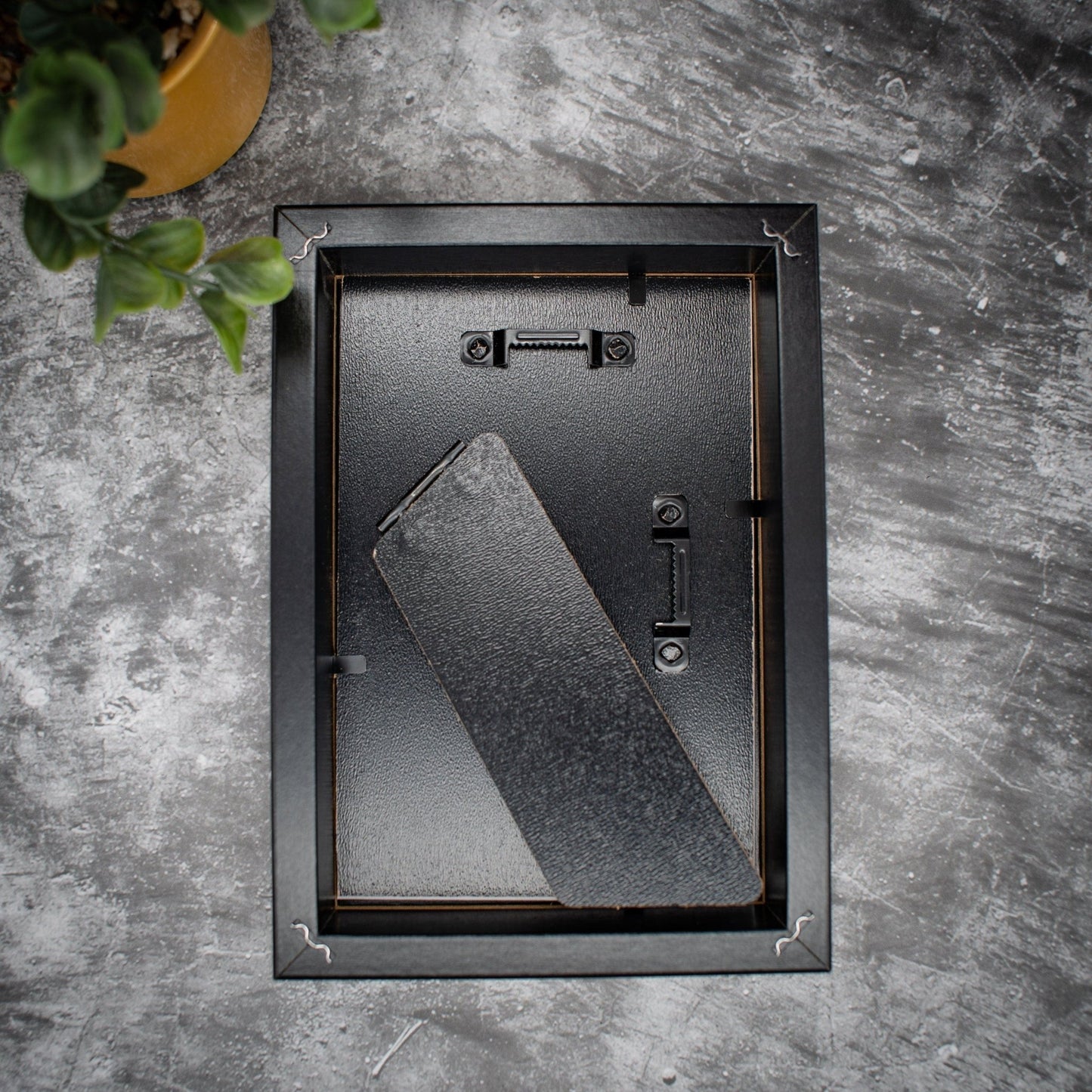 35mm Film Framing | Kodak Color Plus - Expired Film Club