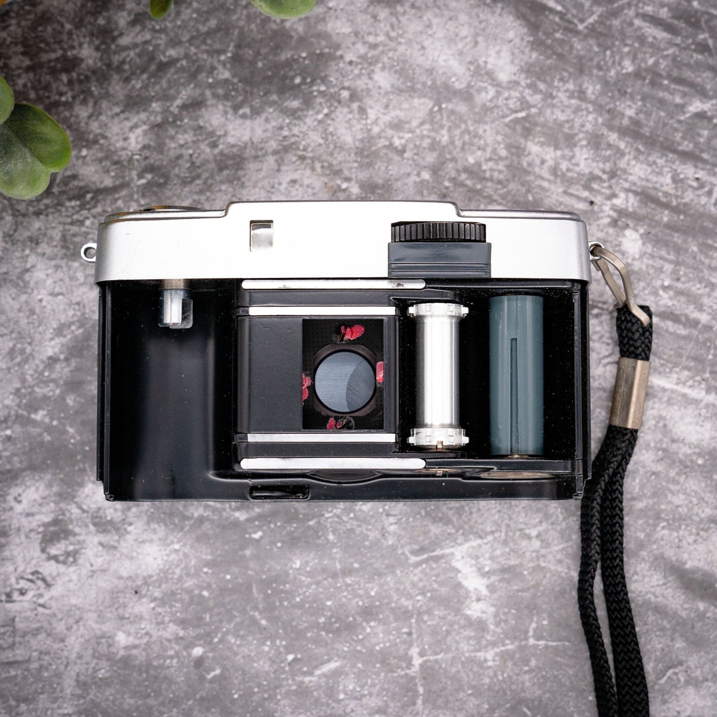 35mm Point & Shoot Camera Kit | Olympus Pen-EE Half Frame Camera + Roll Of Expired Film - Expired Film Club