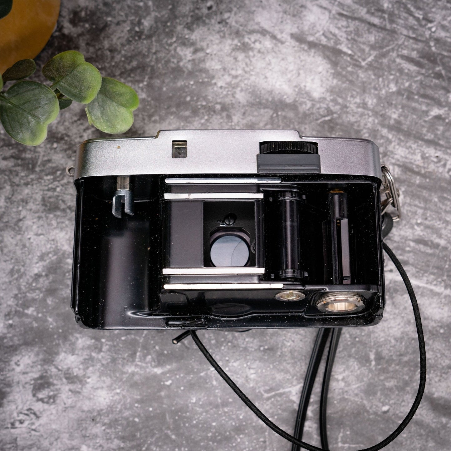35mm Point & Shoot Camera Kit | Olympus Pen-EE Half Frame Camera + Roll Of Expired Film, Original Leather Case - Expired Film Club