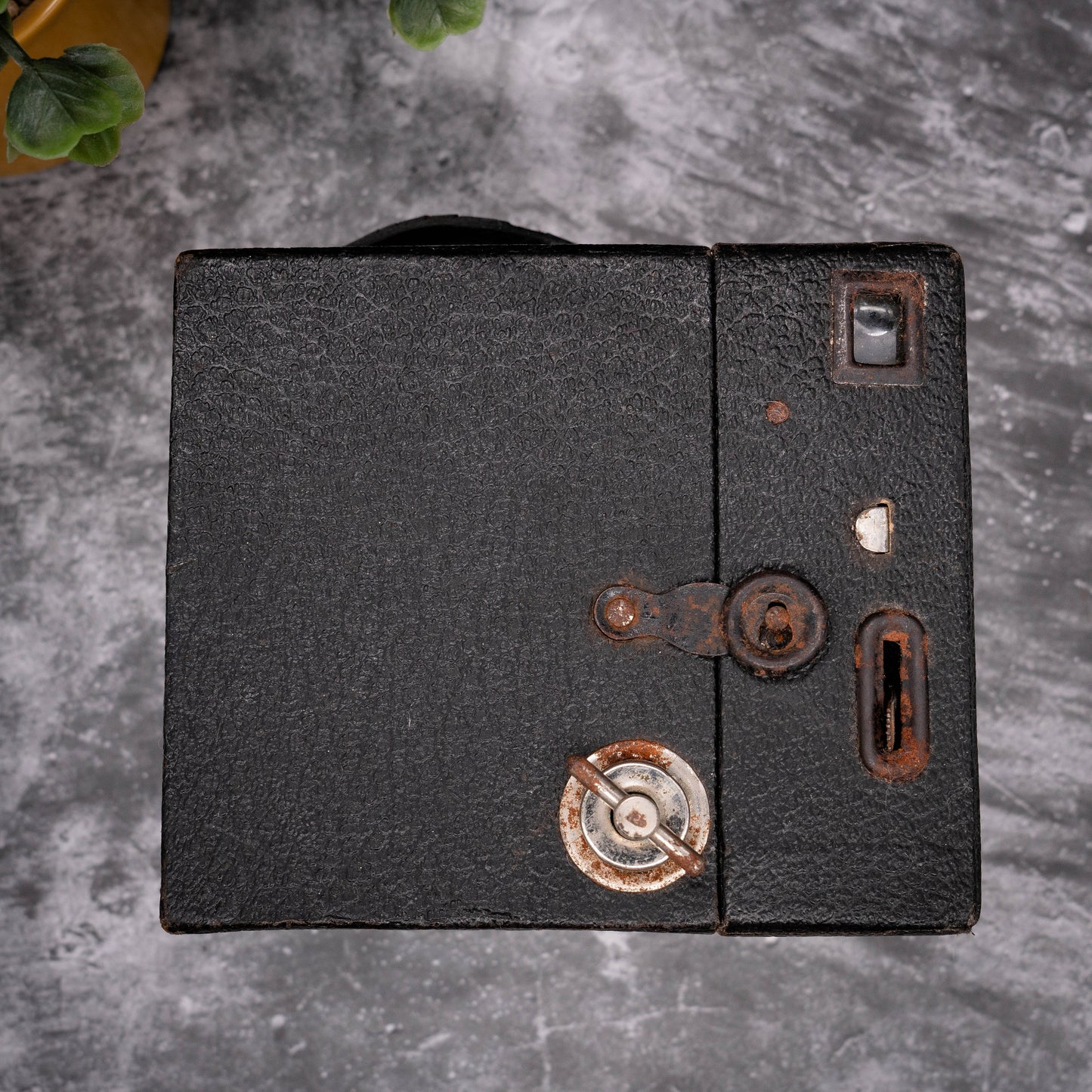 Vintage Film Camera Kit | SSC No.2 Camera + Roll Of Expired Film