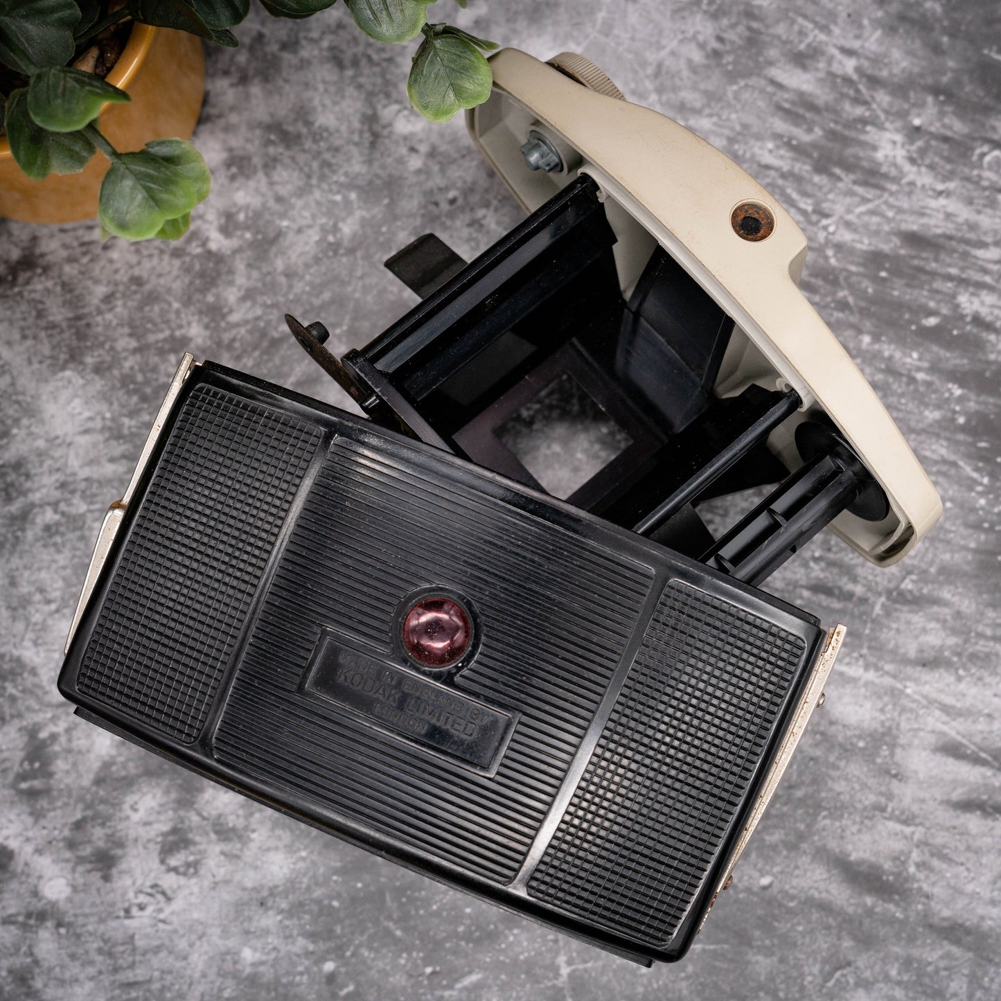 Vintage Film Camera Kit | Kodak Brownie Cresta 3 + Roll Of Expired Film