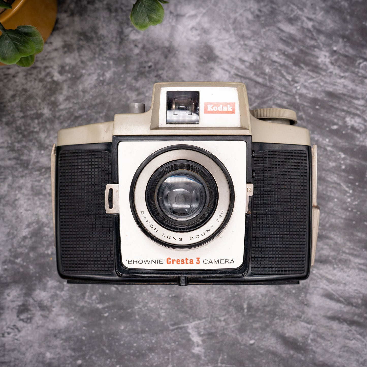 Vintage Film Camera Kit | Kodak Brownie Cresta 3 + Roll Of Expired Film