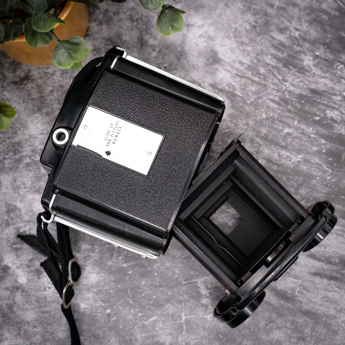 Vintage Film Camera Kit | Kodak Brownie Twin-20 + Roll Of Expired Film