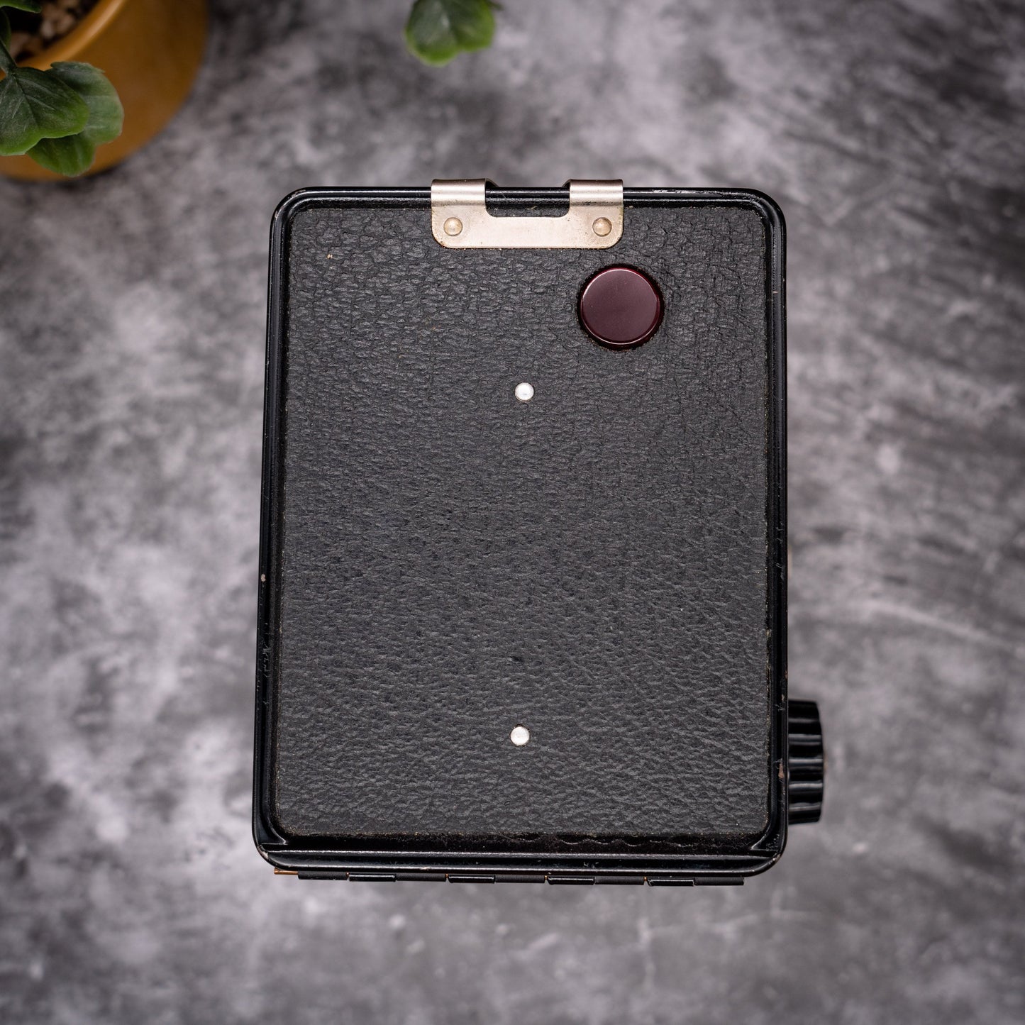 Vintage Film Camera Kit | Kodak Brownie Flash ii + Roll Of Expired Film