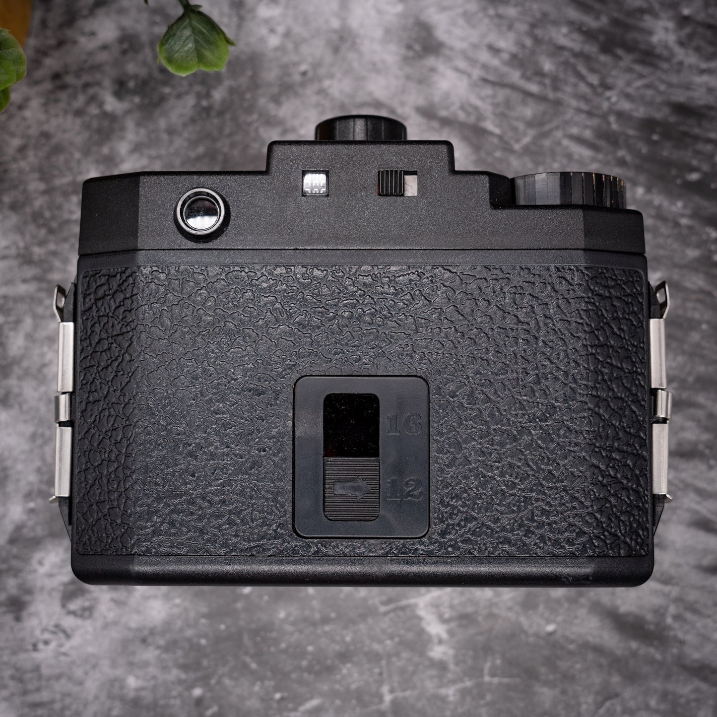 Medium Format Film Camera Kit | Lomography Holga + Roll Of Expired Film
