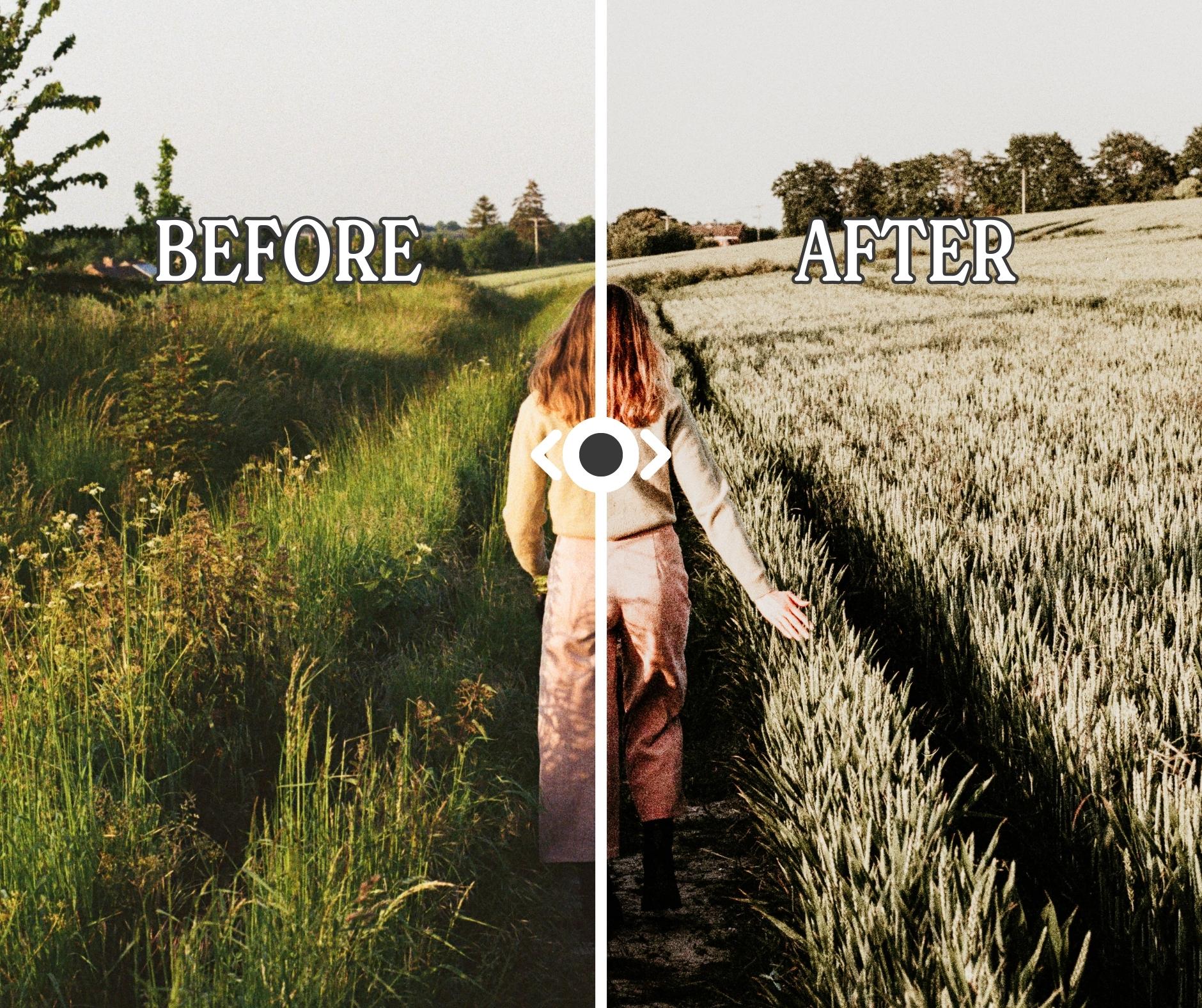 Desaturated Films Film Scan Presets - Desaturated – Expired Film Club