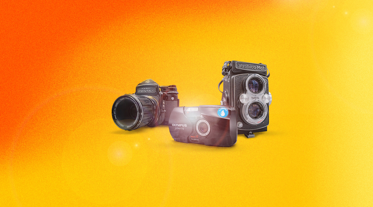 35mm Film SLR Cameras – Expired Film Club