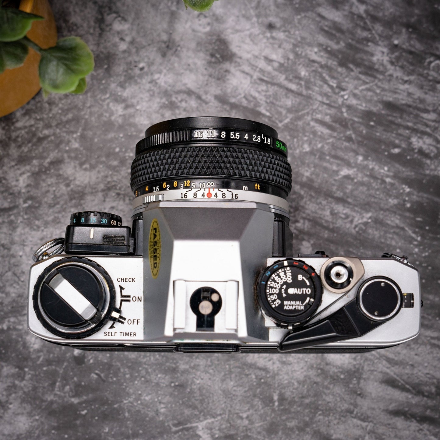 35mm Film Camera Kit | Olympus OM-10 + 50mm f/1.8 Lens, Manual Adapter, Roll Of Expired Film, Original Strap, Box & Instructions - Expired Film Club