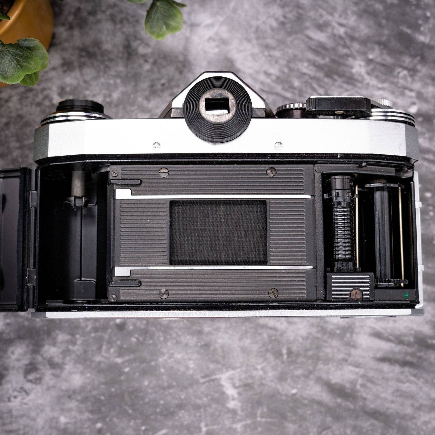 35mm Film Camera Kit | Praktica Super TL + Helios 44-2 58mm f/2 Lens, Roll Of Expired Film, Original Leather Case - Expired Film Club