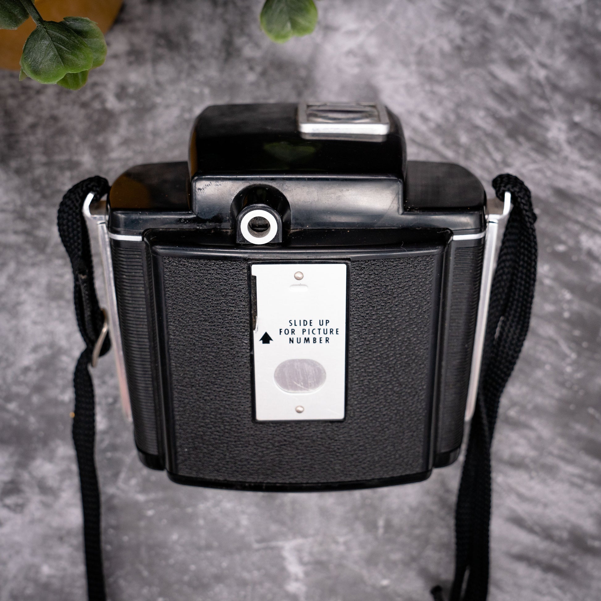 Kodak Gros Plan Tii / 60 T2/60 Lentille Proche Filtre 58mm Kodak Gros Plan Tii / 60 T2/60 Lentille Proche Filtre 58mm