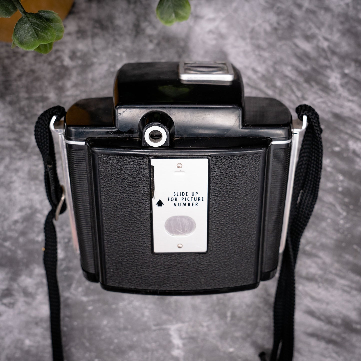 Vintage Film Camera Kit | Kodak Brownie Twin-20 + Roll Of Expired Film