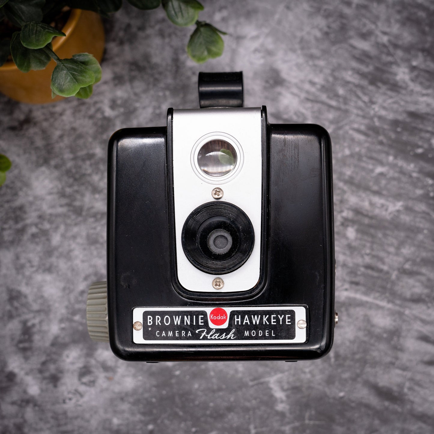 Vintage Film Camera Kit | Kodak Brownie Hawkeye + Roll Of Expired Film